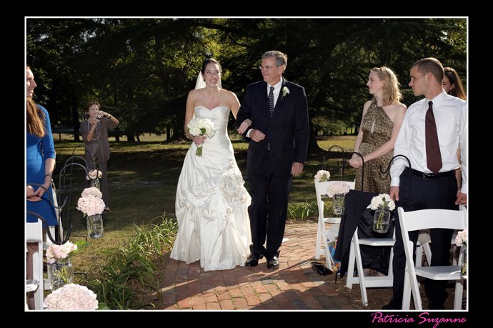 Image-385